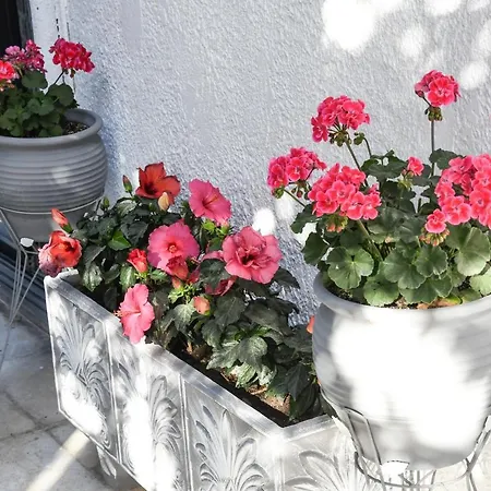 Apartament Angela Kremastí